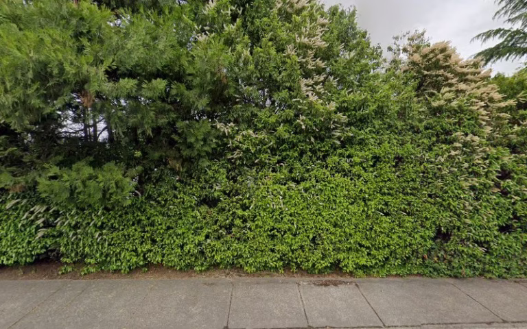 134942 all state roofing contractors inc 1 768x480