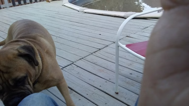 136503 exteriors by williams 768x432