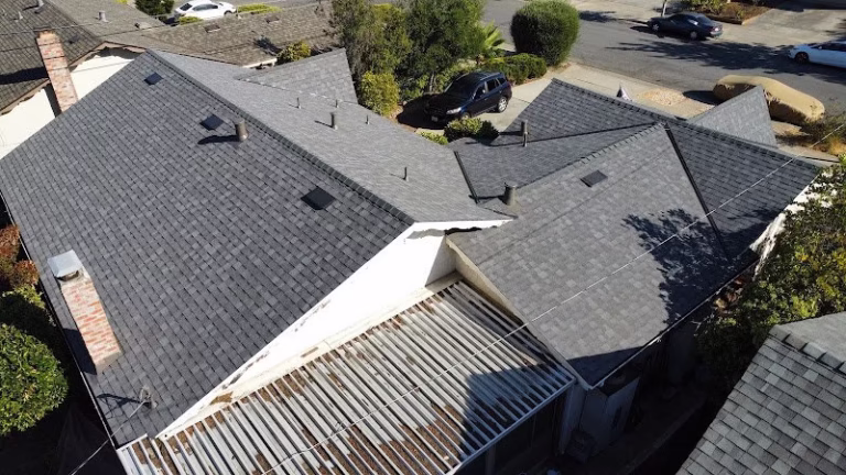 137019 renuly 768x432