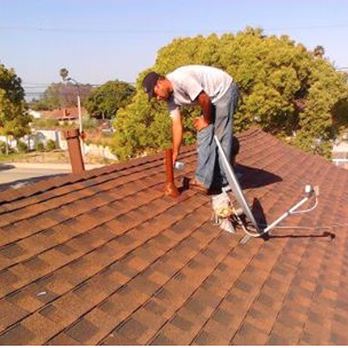 137343 born 2 roof 1