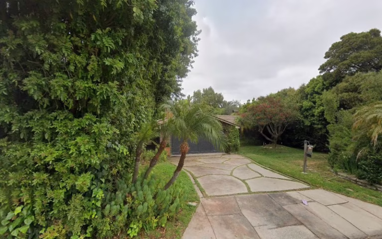 142782 forteza designs 1 768x480