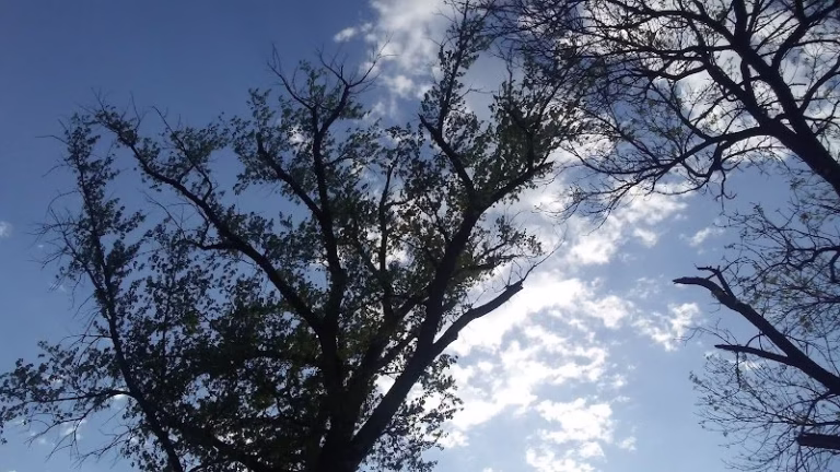 145455 franks trenching inc 768x432