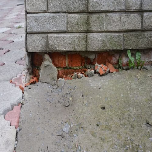 145906 the big guava foundation repair co 1