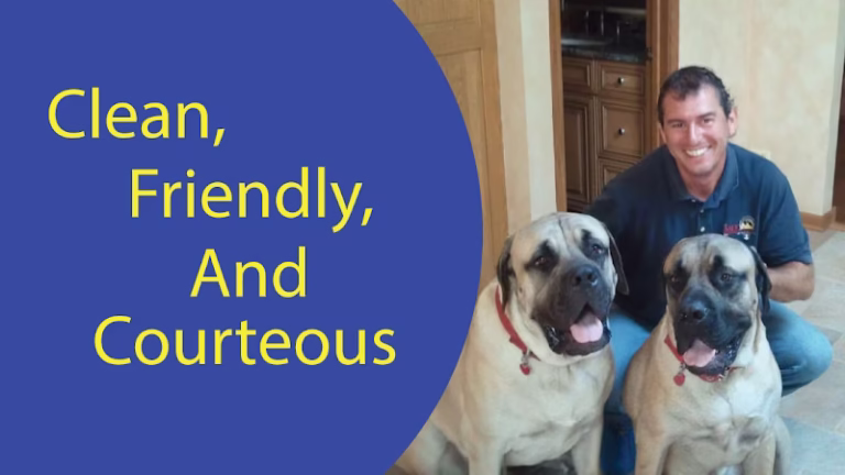 147905 safe electrical services 768x432