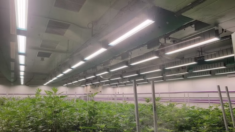 148226 district power 1 768x432