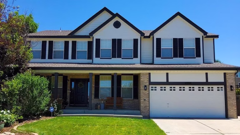 150559 paint pals 768x432