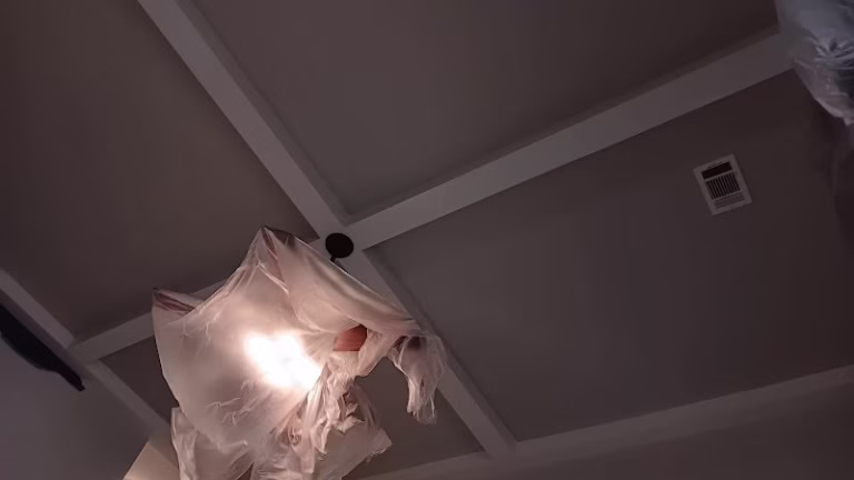 151491 coto painting 1 768x432