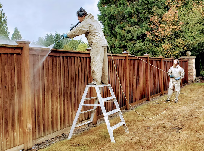 151970 elegant painting 1