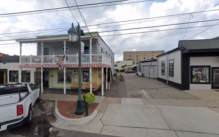 152089 lees painting co 768x480