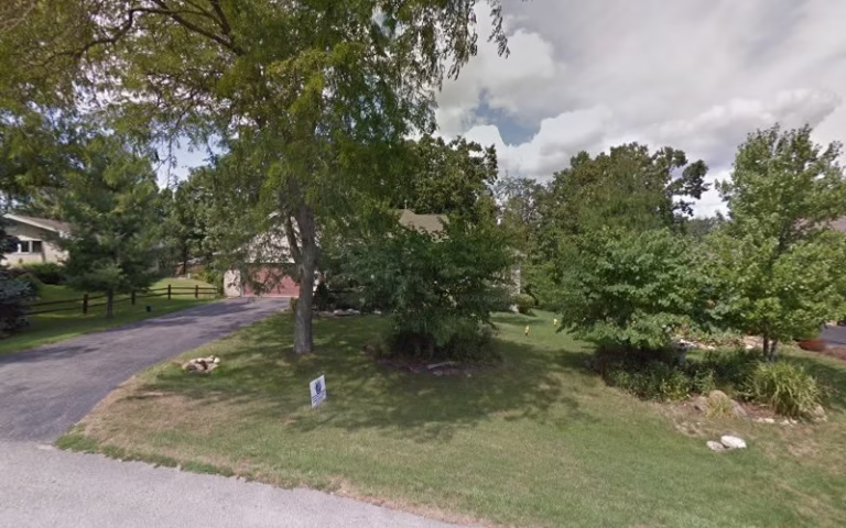 152131 roddy painting 768x480