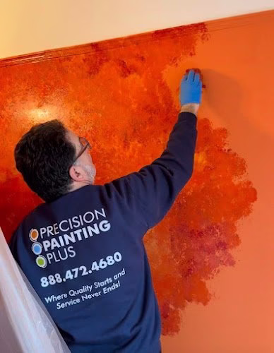 152472 precision painting plus of connecticut 1