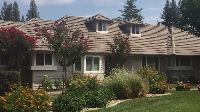 153538 par painting 1 768x432