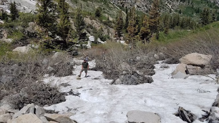 154250 ron fiducias handyman services 1 768x432