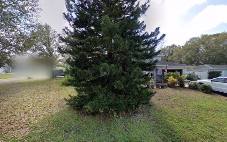 156890 ron puckett construction 1 768x480