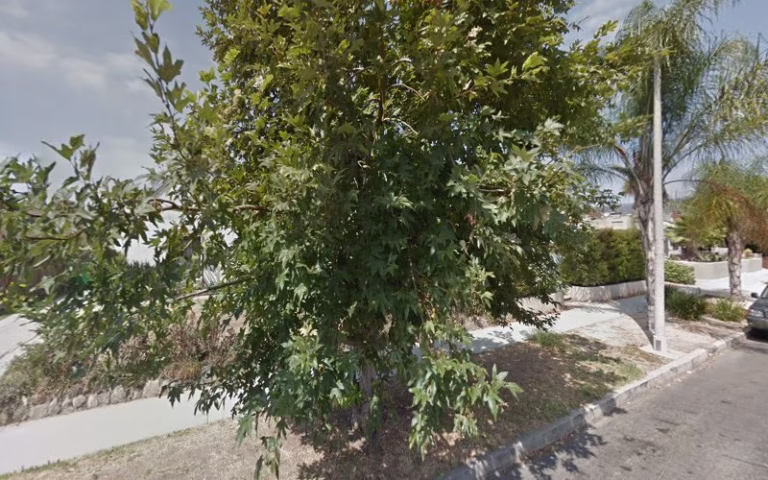 160483 trusted mold home inspectors 1 768x480