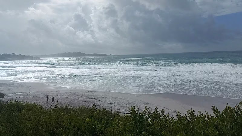 160507 alexander home inspections 1