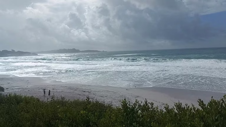 160507 alexander home inspections 768x432