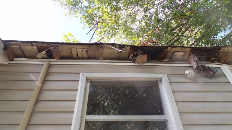 161548 common view home inspections llc 1 768x432