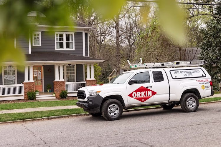 162001 orkin 1