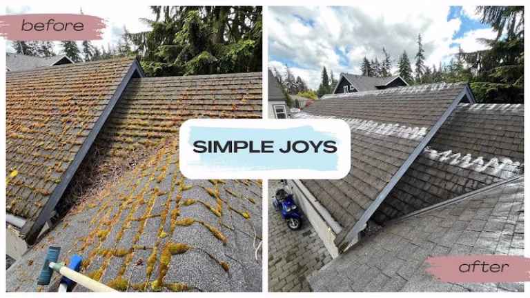 168453 simple joys 1 768x432