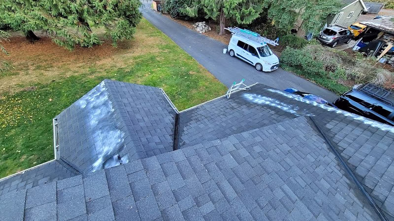 168519 window payne cleaning services 1