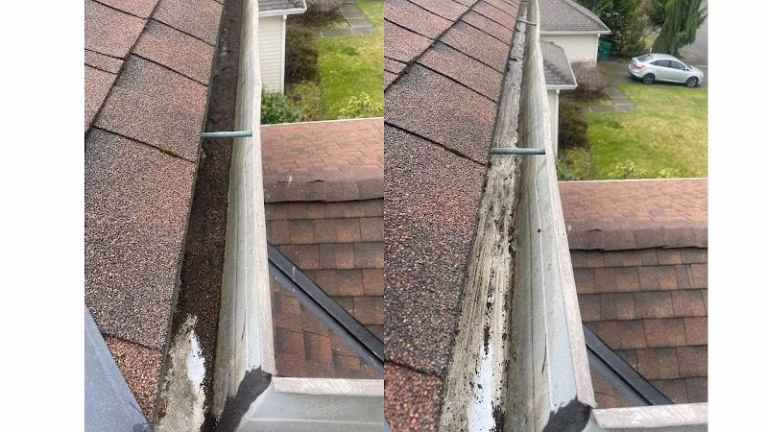 168545 xzaviers gutter and window cleaning 768x432