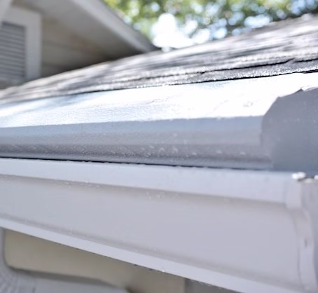 168595 gutter helmet of greater denver northern co 1