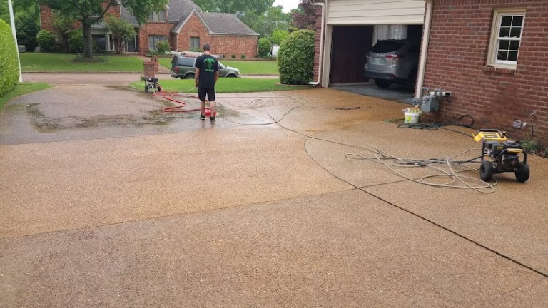 169234 healthy home services usa 768x432