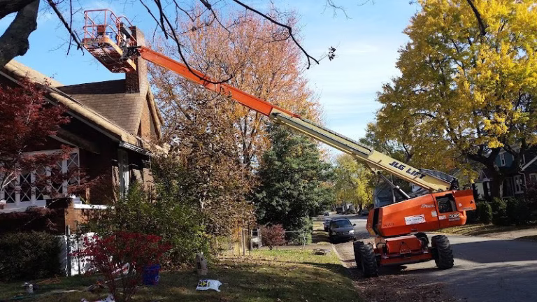 169388 ace chimney fireplace outdoor living 768x432