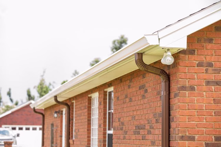 169921 leaf protection of atlanta