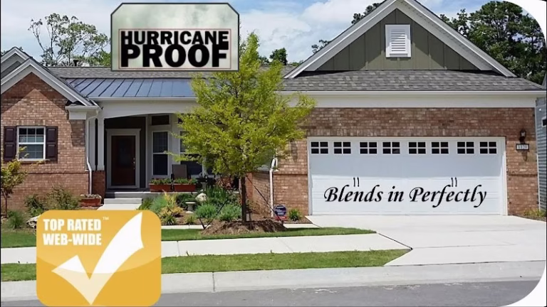 170111 leavesout 768x432