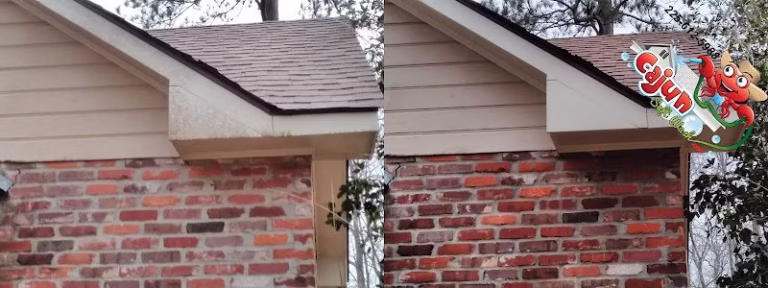 170619 cajun soft wash 768x288