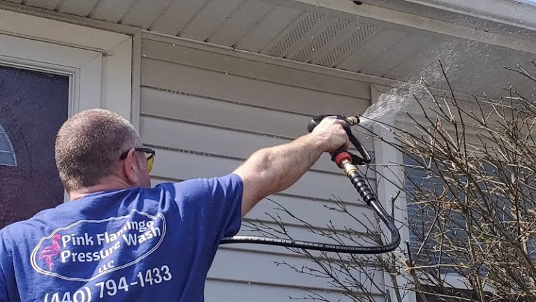 170728 pink flamingo home services llc 768x432