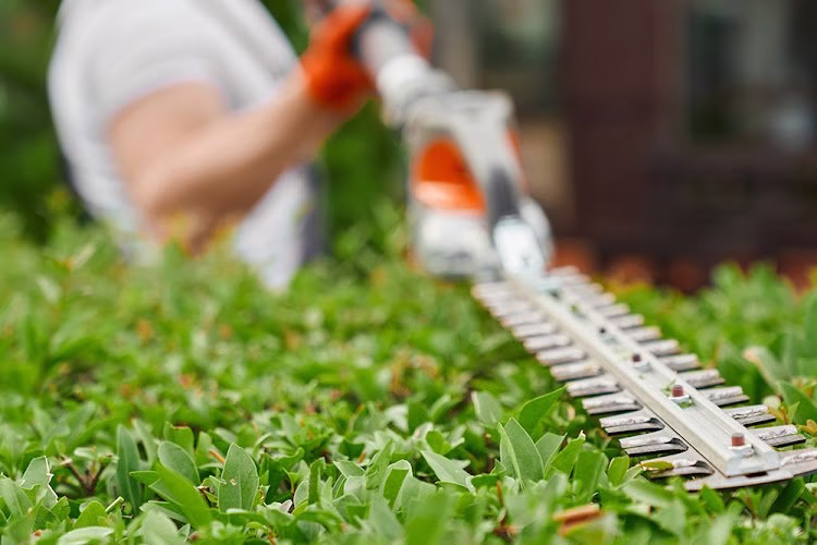 171269 american lawn co