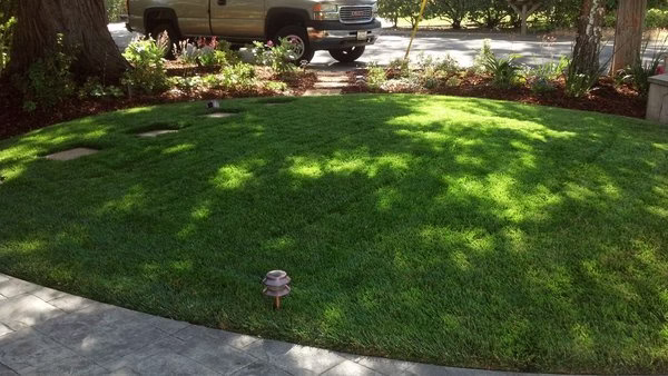 171277 pro lawn care of bonita