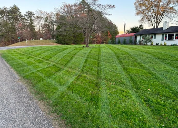 171301 weed man lawn care 35