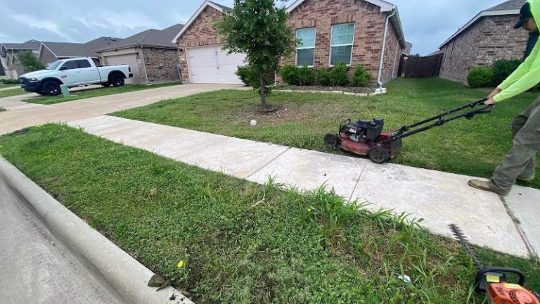171316 green garden lawn care 768x432