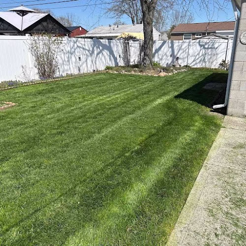 171354 lawnstarter lawn care service 2