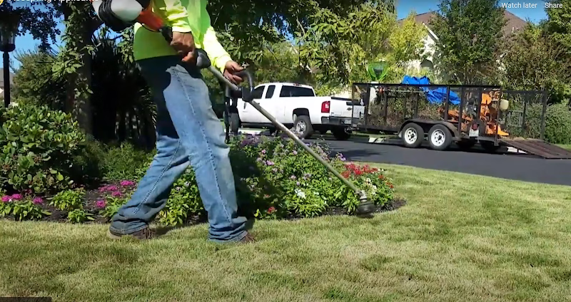 171376 wellspring landscape services