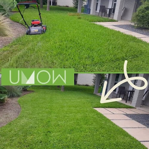 171378 umow lawn care service