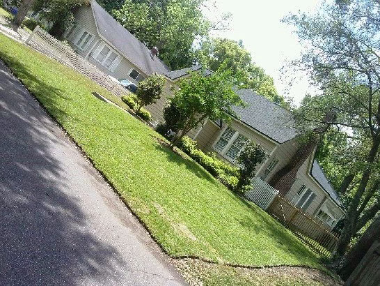 171471 duval lawn services llc