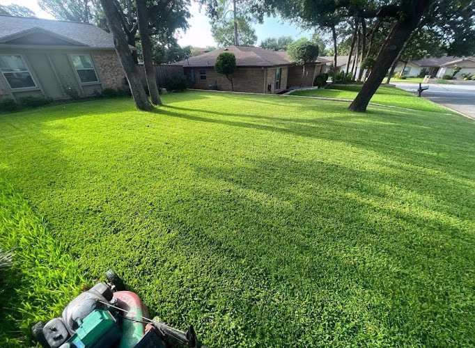 171569 natures barber tx