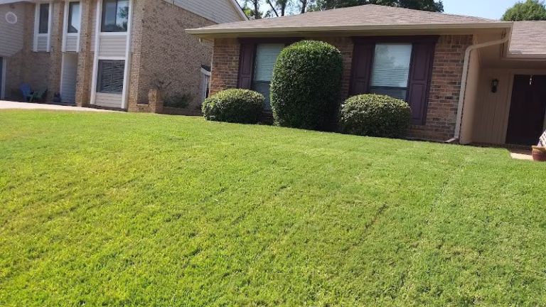 171592 lawnmore 768x432