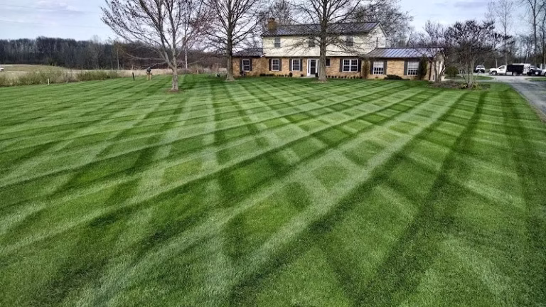 171704 greenlawn specialists 768x432