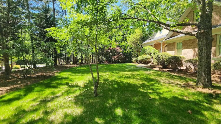 171770 4th generation landscaping clean up and mulching 768x432