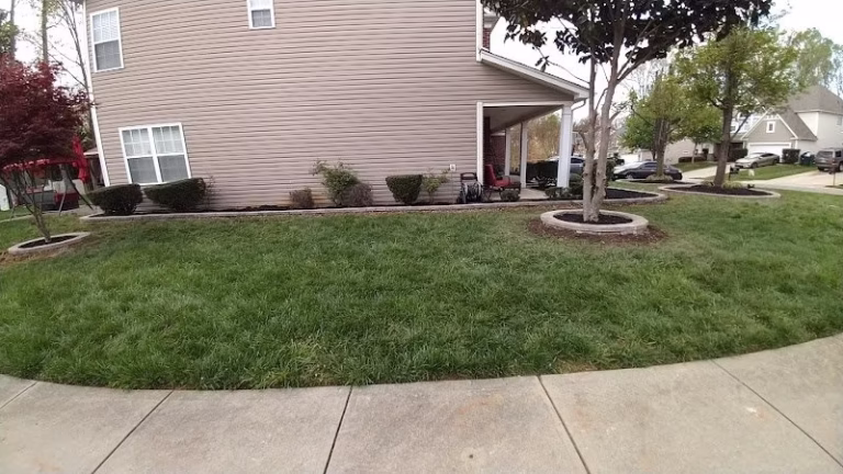 171776 allround landscaping lawn 768x432