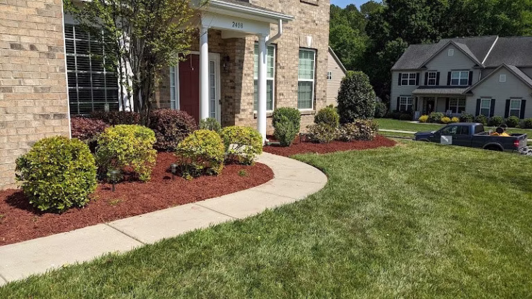 171800 carolina turf services 768x432