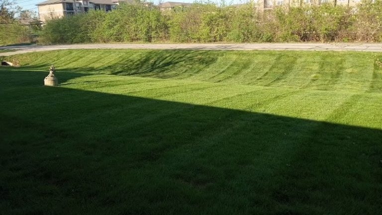 171857 ok jims lawn care services llc 768x432