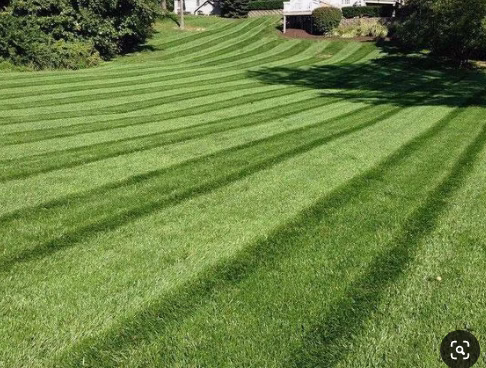 171887 kutmasters lawn care services