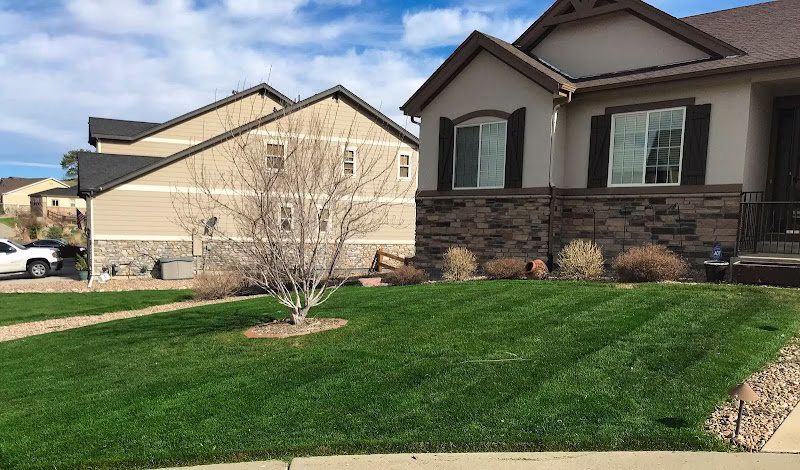 172030 erbert lawns 8211 1 lawn care treatment services in denver